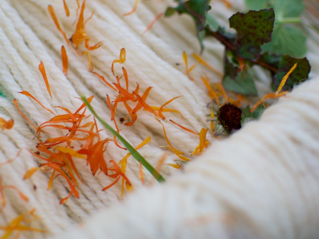 A Bundle Dye Experiment – Colour from Foraged Plants