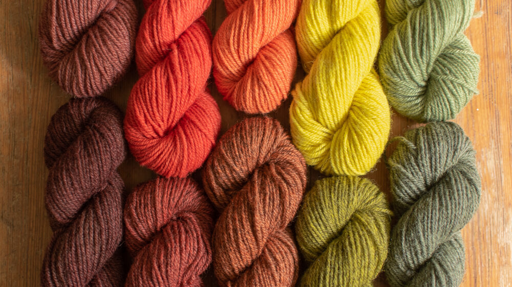 Hand-dyed skeins of yarn in warm, autumnal shades of brown, orange, red, yellow and green