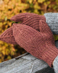 Pair of brown knit mittens worn by a person against a blurred autumnal background