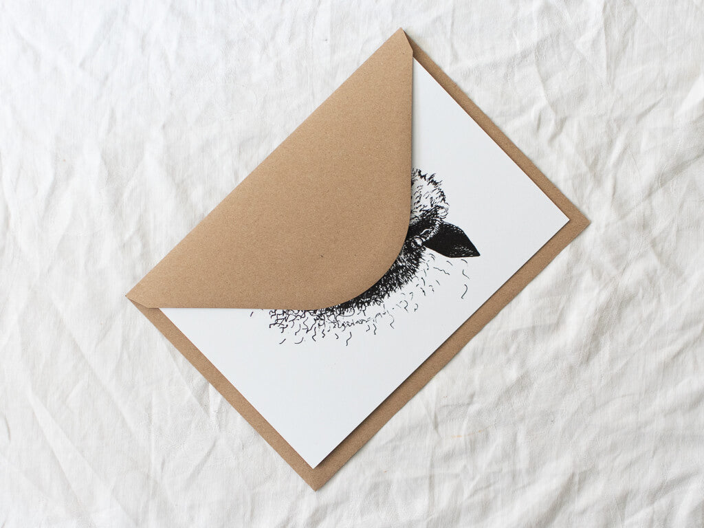 Mendip Sheep blank greetings card by Marina Skua