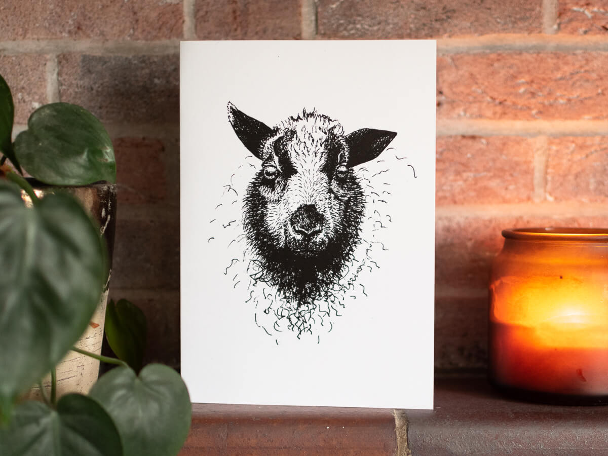 Mendip Sheep blank greetings card by Marina Skua