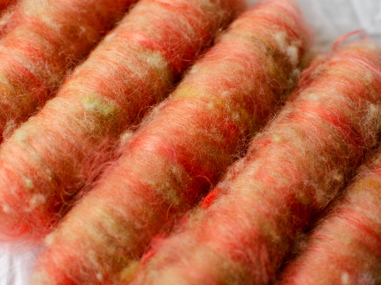 Coral batts