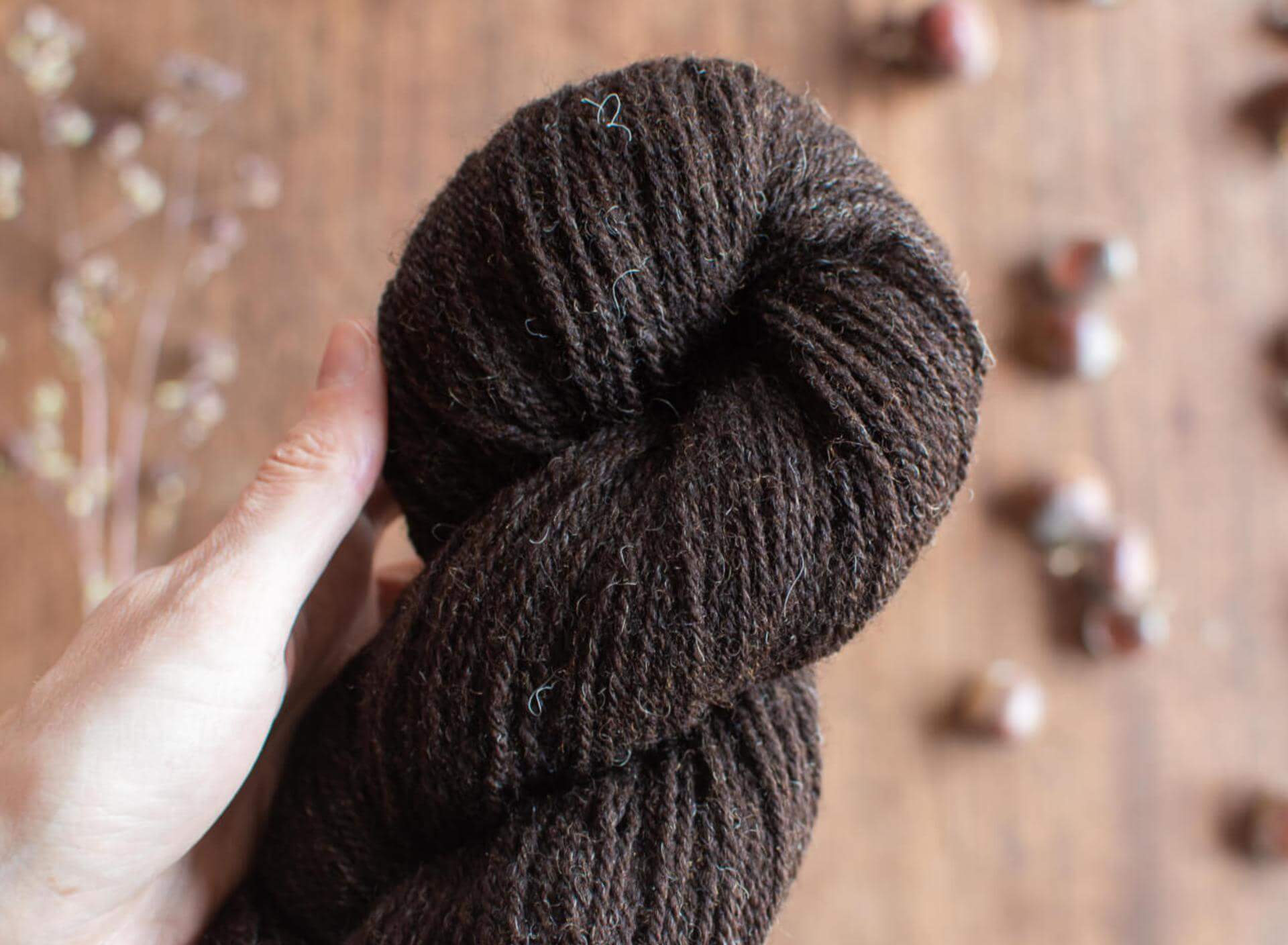 A close up picture of a hand holding a rich dark brown skein of undyed, DK Zwartbles wool.