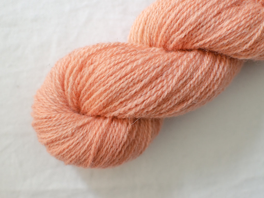 Clay (Sunny) Mendip 4ply - Hand-dyed British wool yarn