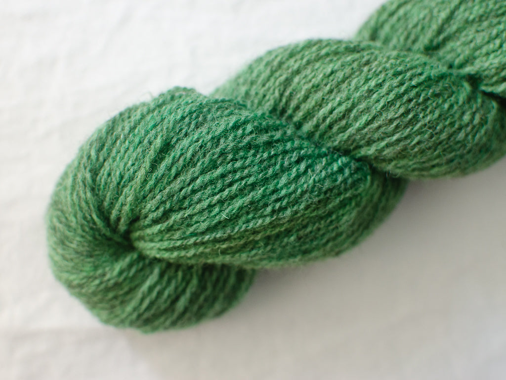 Fern (Cloudy) Mendip 4ply - Hand-dyed British wool yarn