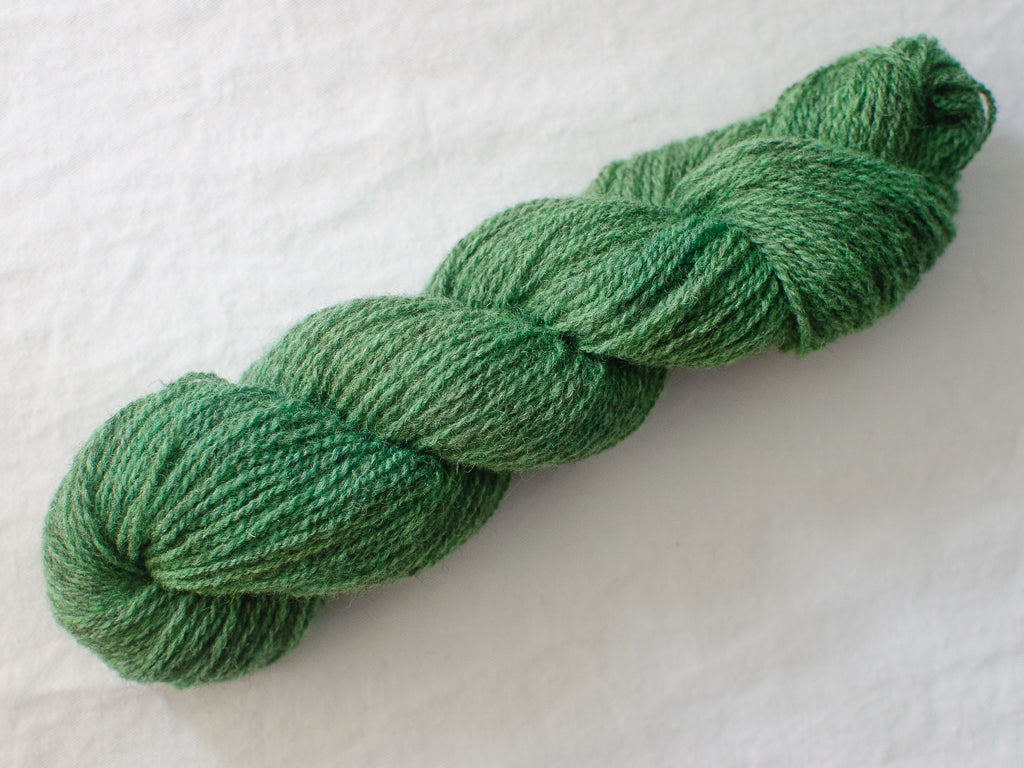 Fern (Cloudy) Mendip 4ply - Hand-dyed British wool yarn