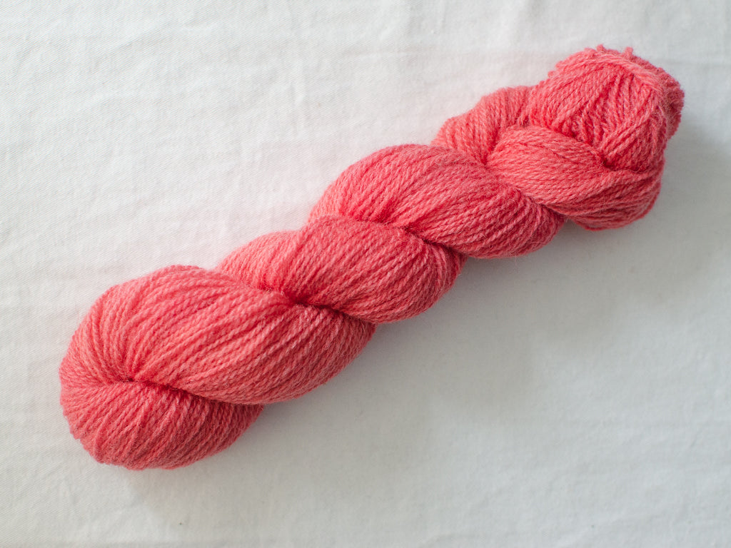Rose (Sunny) Mendip 4ply - Hand-dyed British wool yarn