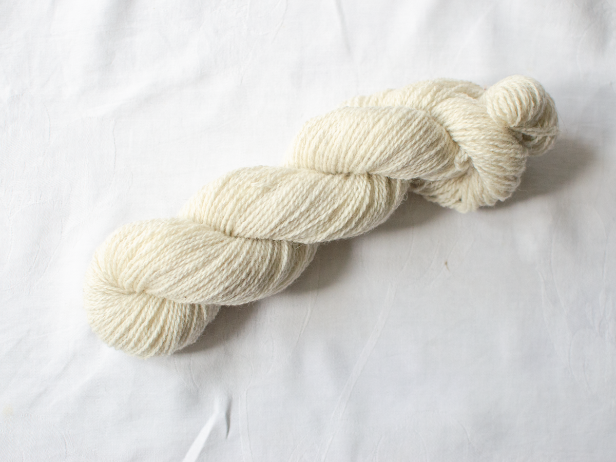 Sheep (Sunny) Mendip 4ply – undyed cream British wool yarn