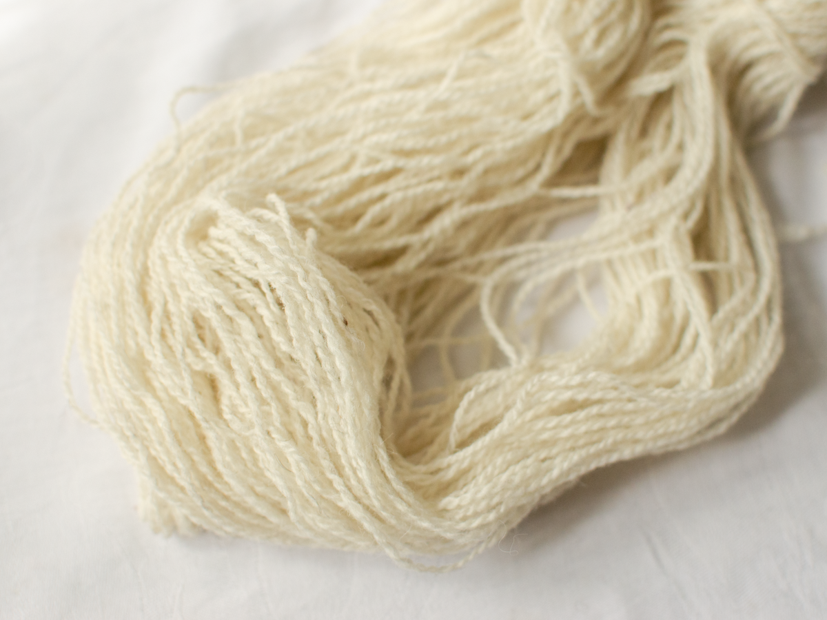 Sheep (Sunny) Mendip 4ply – undyed cream British wool yarn