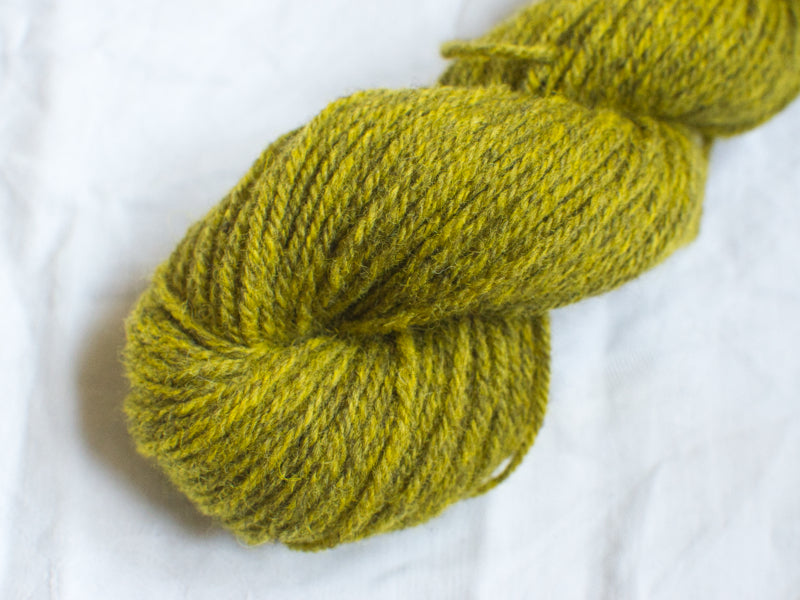 Bloom (Cloudy) Mendip DK - Hand-dyed British wool yarn