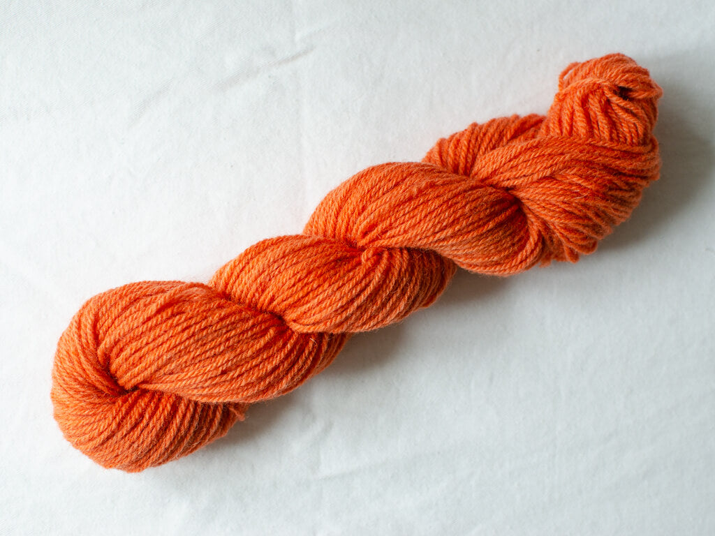 Mendip DK – Fox (Sunny)