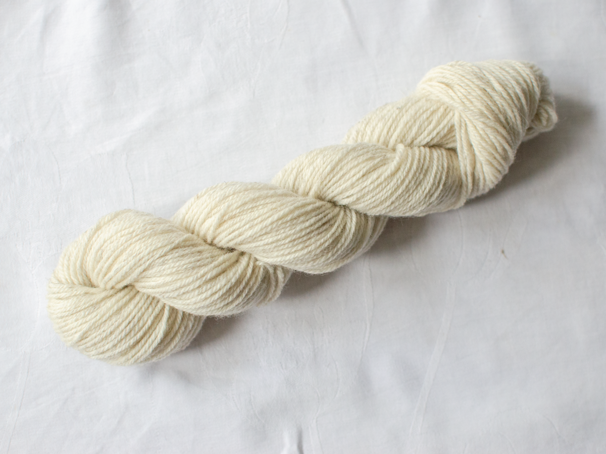 Mendip DK – Sheep (Sunny)