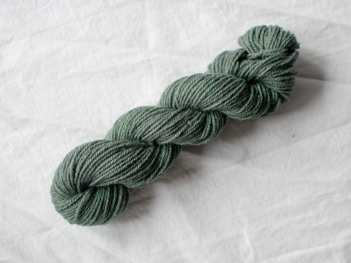 Mendip DK – Yew (Sunny)