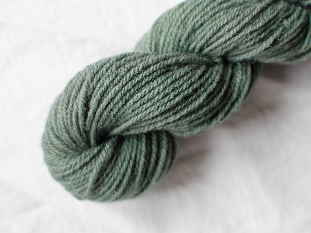 Mendip DK – Yew (Sunny)