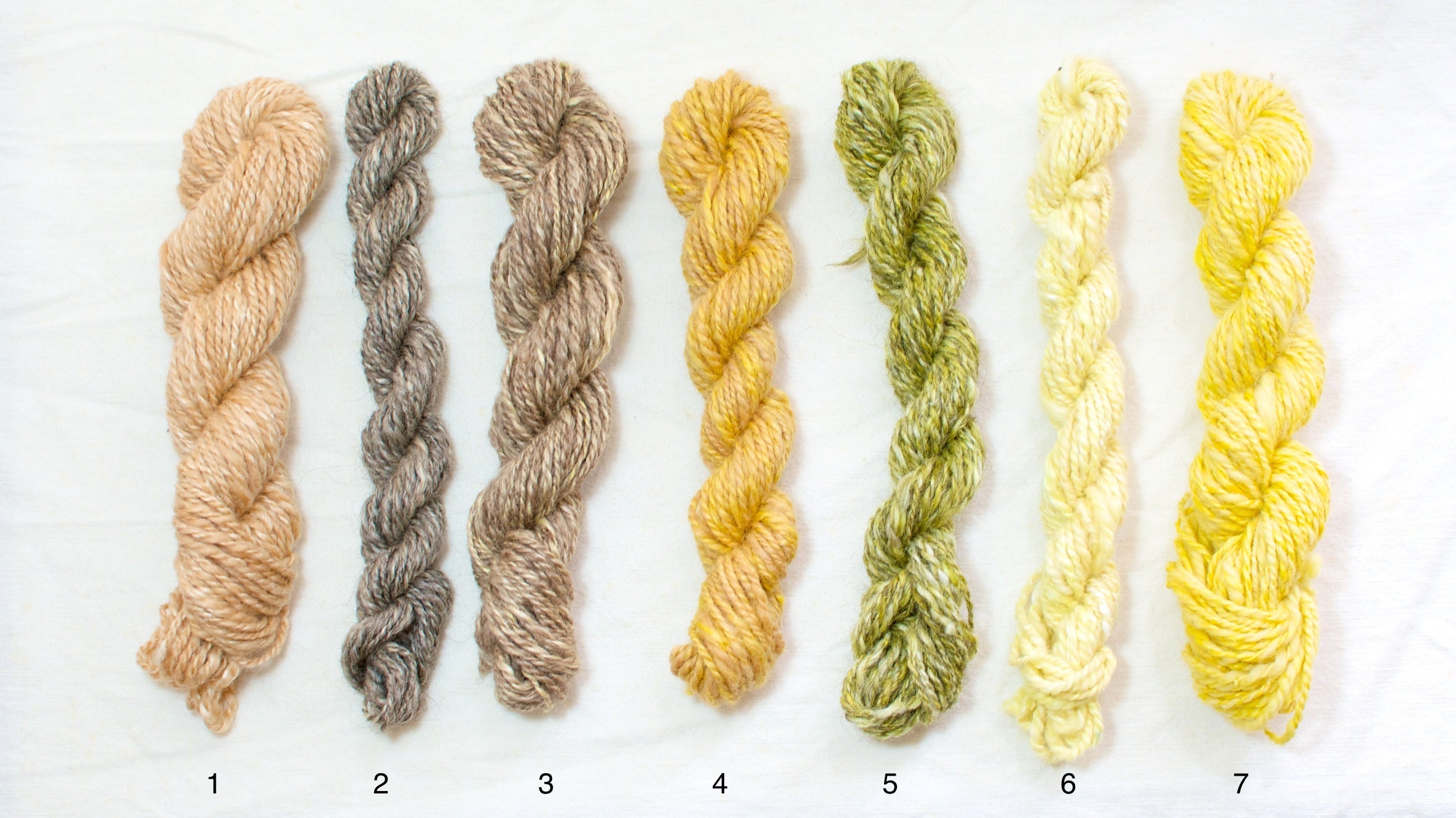 On plant dyes and fibres