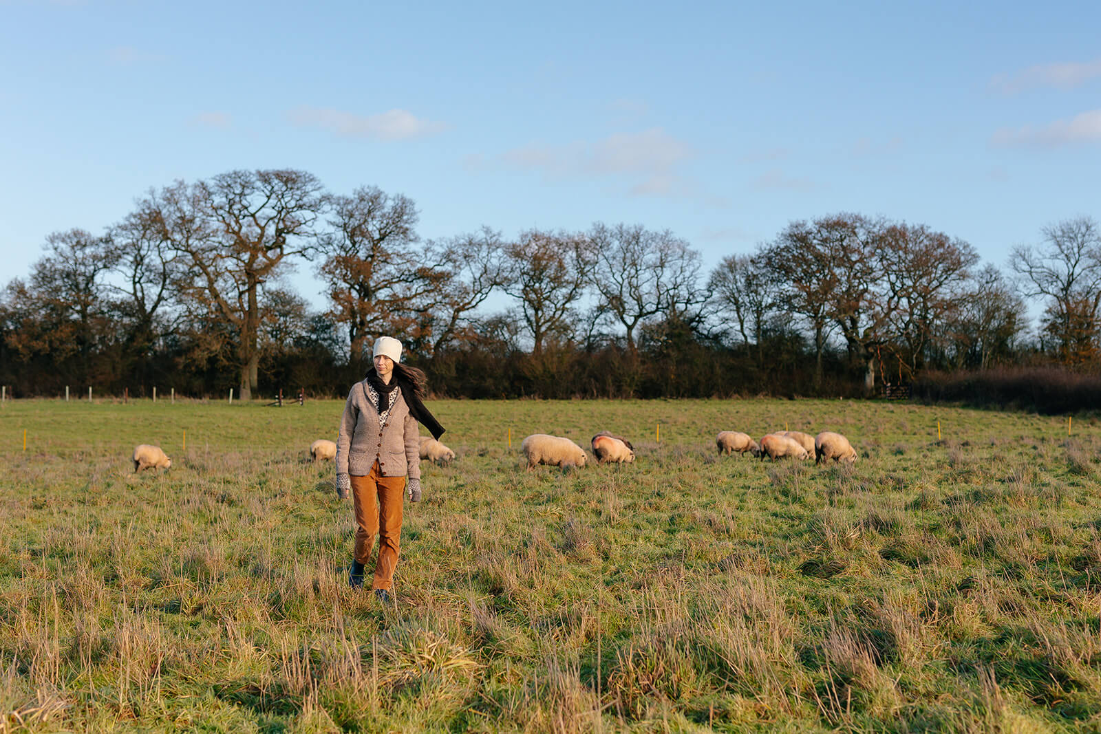 I designed a Westcountry collection of knitting patterns using only local British wool (Marina Skua Podcast Ep 66)