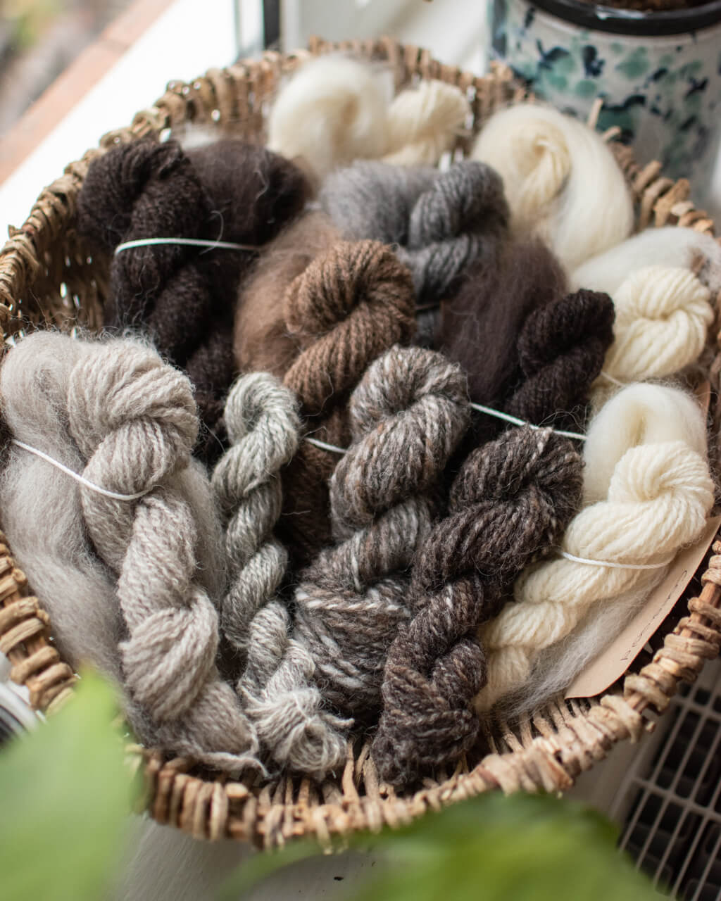5 British wool breeds for serene spinning and delightful yarn