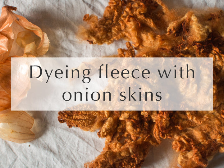 How to dye wool fleece with onion skins