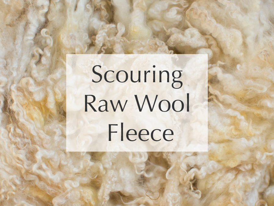 How to scour raw wool for dyeing