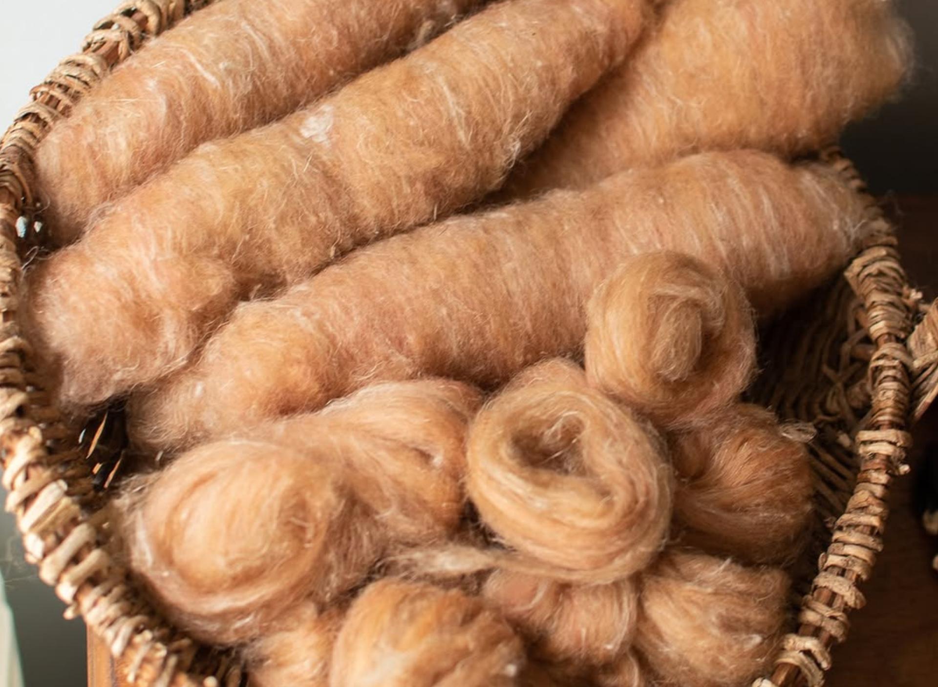 A woven basket filled with orange wool batts and predrafted nests of fibre ready for spinning