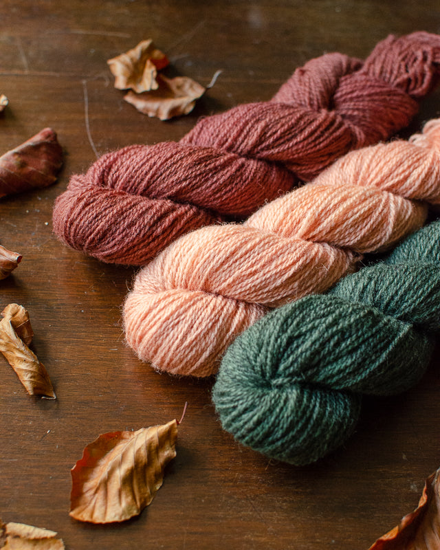 Three skeins of Mendip yarn in brown, pink and green, surrounded by autumn leaves