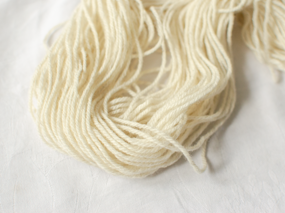 Mendip DK – Sheep (Sunny)